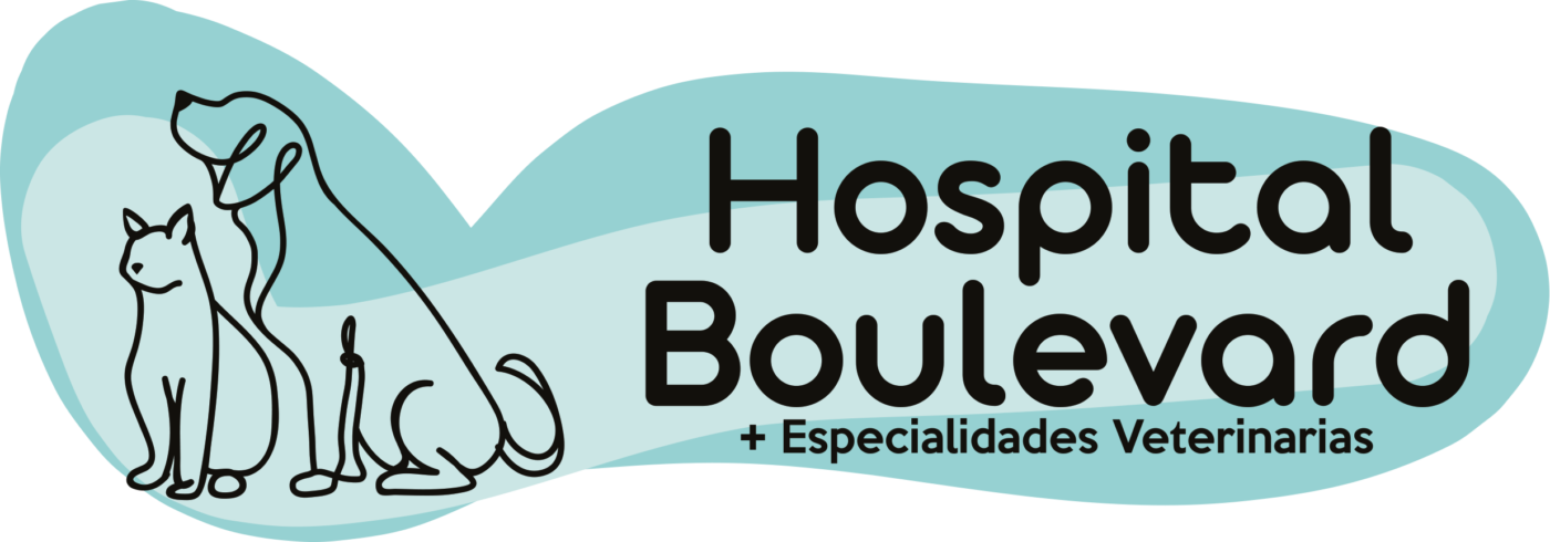 Hospital Boulevard